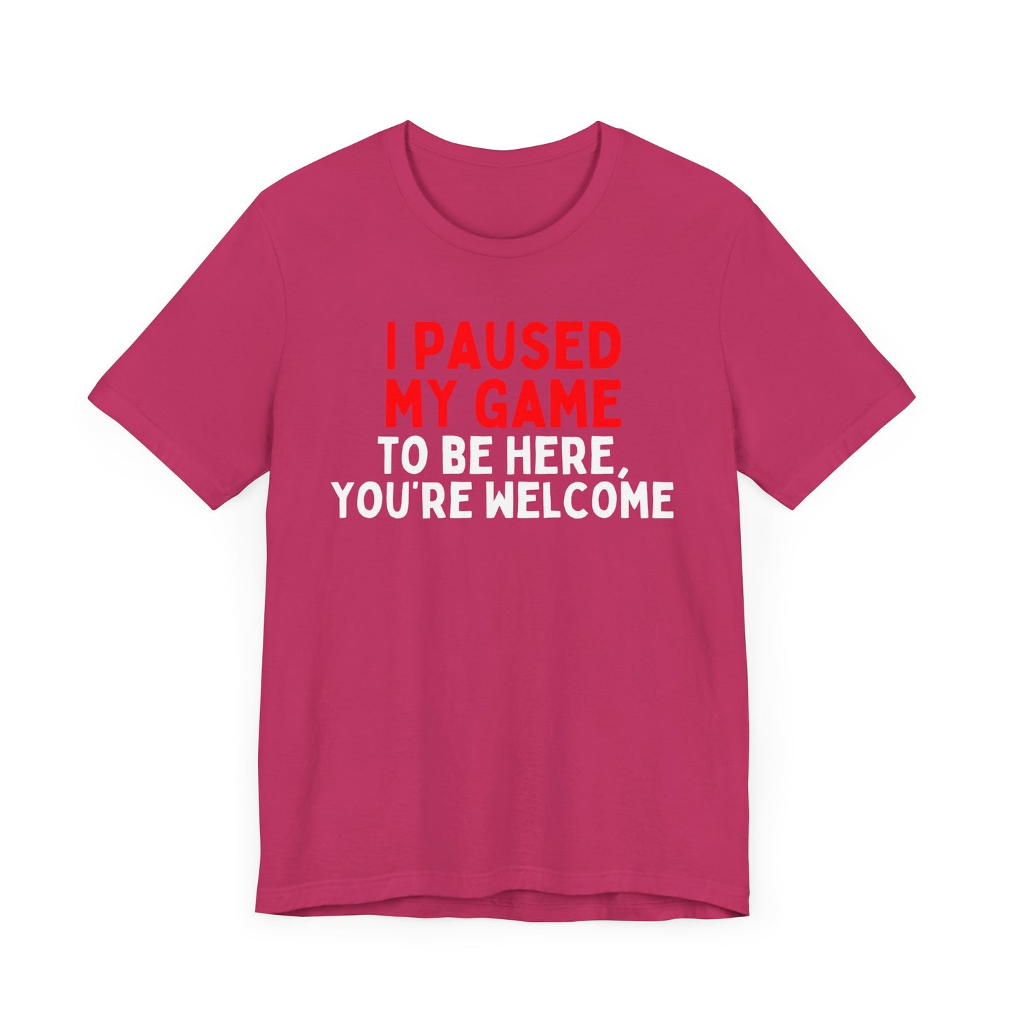 I Paused My Game To Be Here, You're Welcome T-Shirt